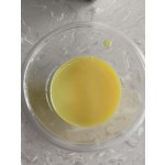 Ginger Extract Manufacturer - Plant Extract Herb Flavors for Functional Beverages