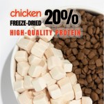 干宠物食品供应商-批发牛肉益生菌