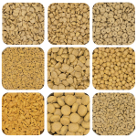 宠物食品生产商-批发高端猫狗营养粮