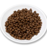 干宠物食品厂家-工厂供应干狗粮OEM ODM猫粮宠物用