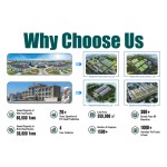 三文鱼猫食品厂家-OEM酱汁三文鱼肉85克/100克袋猫湿粮