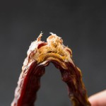 奶粉厂家-奶粉400克幼猫钙补充多种维生素猫专用