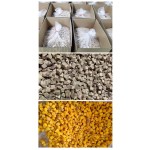 冻干宠物食品厂家-OEM安全可靠宠物零食高品质冻干猫零食