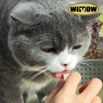 冻干零食厂家-工厂直售高品质新鲜冻干猫零食鸡肉