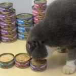 绝育猫食品厂家-猫湿粮绝育猫用单袋配鸡肉肉汁