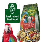 Bird Food Supplier - Wimow Wholesale Origin Style Dried Nutritious for Birds