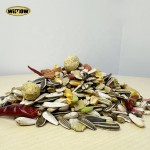 鸟食厂家-Wimow小动物零食2公斤10公斤鹦鹉种子水果混合鸟食