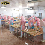 Dried Vegetables Supplier - High Quality Dried Mixed Vegetables Carrots Cabbage Potatoes Rabbit Treats