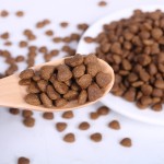 干狗粮厂家-干宠物食品制造商批发健康科学饮食成犬干粮