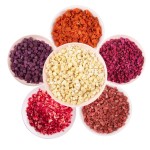 猫草立方厂家-OEM猫食品供应商宠物零食猫草立方冻干