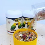 Parrot Food Supplier - New 2kg Premium Professional Seed High Quality Seed Mix Parrot Food