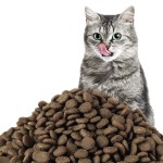 干狗粮厂家-干宠物食品制造商批发健康科学饮食成犬干粮