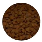 宠物食品生产商-全生命周期美食