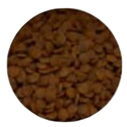 宠物食品生产商-全生命周期美食