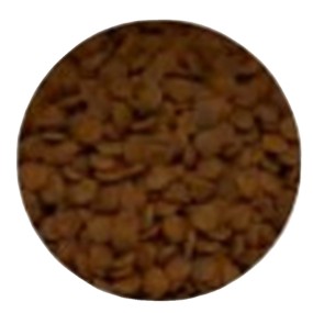 宠物食品生产商-全生命周期美食