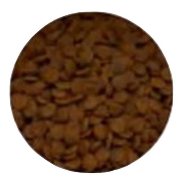 宠物食品生产商-全生命周期美食