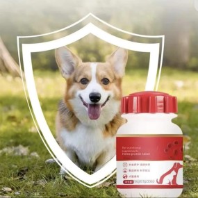 Pet Collagen Supplement Supplier - Hydrolyzed Powder