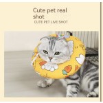 宠物项圈厂家-舒适安全防咬