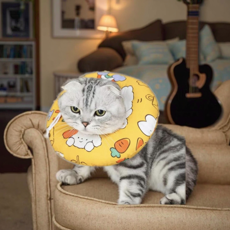 宠物项圈生产商-柔软耐用卡通防咬