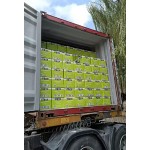 豆腐猫砂生产商-环保无尘