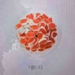 宠物食品生产商-酥脆棕色圆形维生素