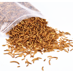 干面包虫供应商-代工品牌鸟食