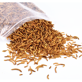 干面包虫供应商-代工品牌鸟食