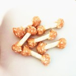 柔软鸭肉干生产商-整块无添加剂