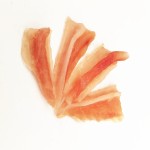 髋关节狗零食供应商-鸭软骨高蛋白