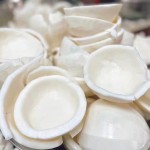 鸡肉椰子条供应商-代工品牌健康咀嚼