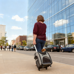 汽车加高座厂家-时尚狗汽车加高座配可洗垫安全牵引带存储