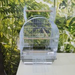 滚轮鸟笼厂家-黑色开放式金属鸟笼配滚轮支架便于移动