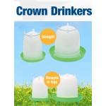 鸟饮水器厂家-鸡鸭喂食器桶式水桶鹌鹑鸟饮水器带盖