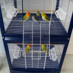 鸟舍笼厂家-房屋设计鸟舍鸟笼带轮2合1大号二层鸟笼可转换