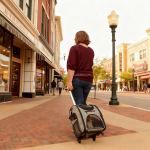 汽车加高座厂家-时尚狗汽车加高座配可洗垫安全牵引带存储