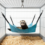 宠物吊床厂家-超软绒布悬挂宠物笼吊床小动物互动玩具