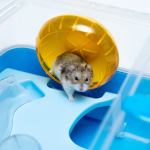 仓鼠笼厂家-高品质舒适仓鼠宠物笼便携金属运输箱栖息地