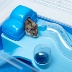 仓鼠笼厂家-高品质舒适仓鼠宠物笼便携金属运输箱栖息地