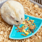 角落碗厂家-小动物宠物食品水三角角落食盆仓鼠用