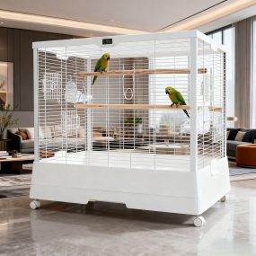 Budgie Cage Manufacturer - Fashion Design Bird Cage for Budgie Finches Canaries with Wooden Stands