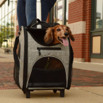 汽车加高座厂家-时尚狗汽车加高座配可洗垫安全牵引带存储