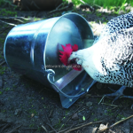 家禽喂食器厂家-镀锌鸡角落笼喂食器农场市场悬挂家禽喂食器