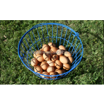 宠物容器厂家-便携透明塑料箱宠物容器爬宠水族箱用