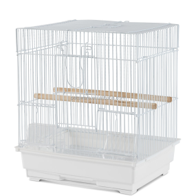 Classic Bird Cage Manufacturer - Flat Top Classic Small Bird Cage Series for Home Use