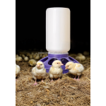 笼杯厂家-镀锌金属笼杯带钩鸟笼和小动物栖息地用