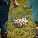 宠物容器厂家-便携透明塑料箱宠物容器爬宠水族箱用