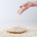 豆腐猫砂供应商-批发高品质