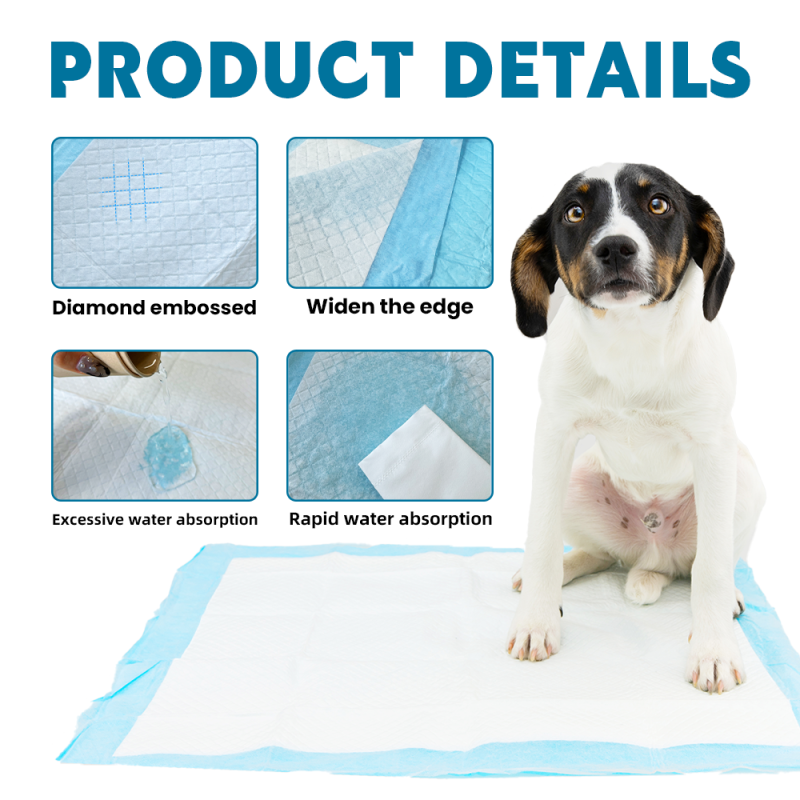 Puppy Training Pad Manufacturer - Fast Absorbent Sizes