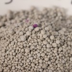 膨润土猫砂厂家-快速吸收除臭