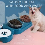 猫食盆供应商-代工定制斜口塑料